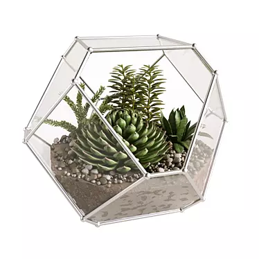 Succulent Paradise: Florarium with Stunning Live Greens 3D model image 1 