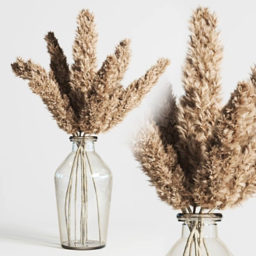 Pampas Dry Plant Bouquet in Glass Vase 3D model image 1 