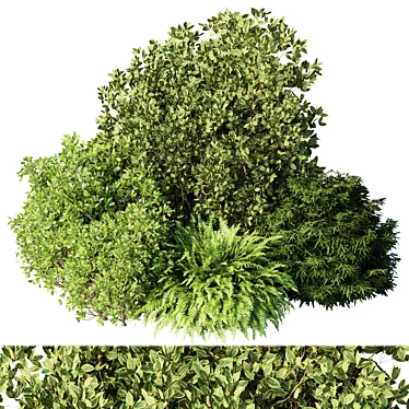 Mixed Plants Bush Set - Vray 3D Model 3D model image 1 