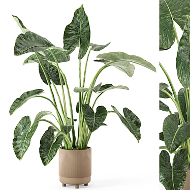  Rusty Concrete Pot Indoor Plants - Set 437 3D model image 1 