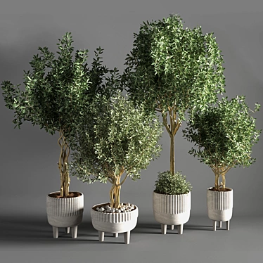 Sleek Indoor Plant for Decor 3D model image 1 