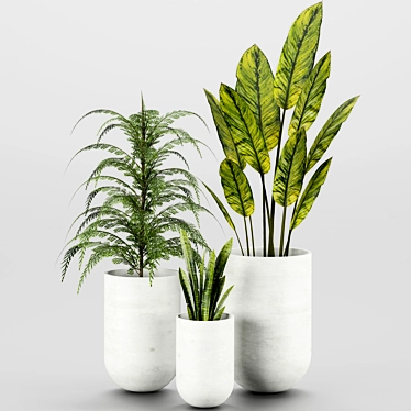 Indoor Houseplant Set: 4 Varieties 3D model image 1 