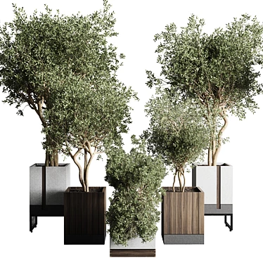 Indoor Plant Set: Box Pot, Tree Shrub Bush 3D model image 1 