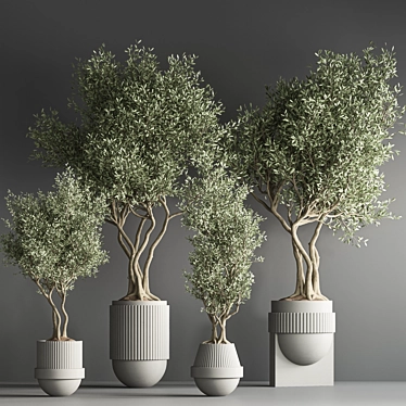 32-Piece Indoor Plant Set 3D model image 1 