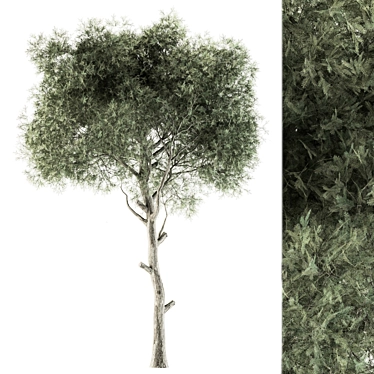 Evergreen Bliss - Set of 63 3D model image 1 