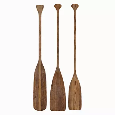 Realistic Paddles for Visual Projects 3D model image 1 