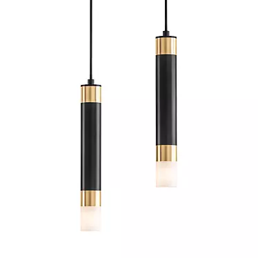 Modern Black Ceiling Light Fixtures 3D model image 1 