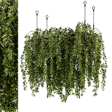 Metal Box Hanging Plants - Set 445 3D model image 1 