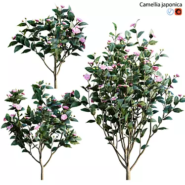 Elegant Japanese Camellia Tree 3D model image 1 