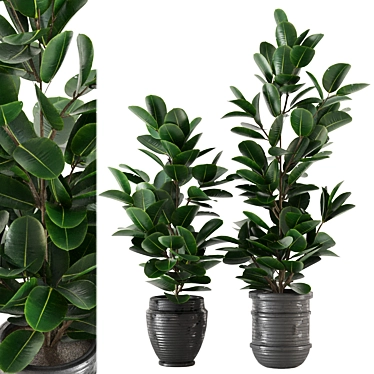 Modern Indoor Plant Collection - Set 205 3D model image 1 