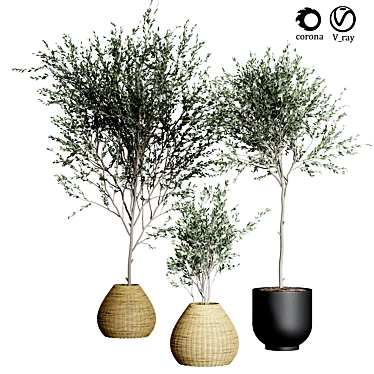 Indoor Plant Collection: 33 Varieties 3D model image 1 