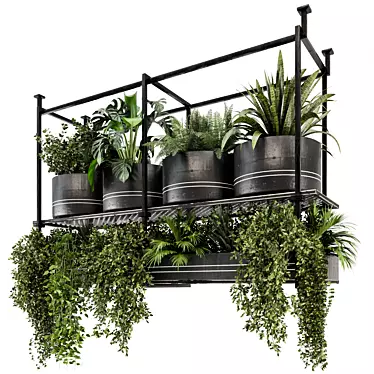 Metal Box Hanging Plants: Set 449 3D model image 1 