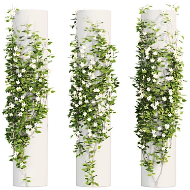 Lush Ivy Adornment Collection 3D model image 1 