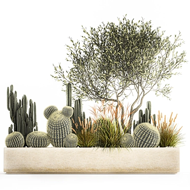 Exotic Cactus Collection | Decorative Plants in Concrete Pots 3D model image 1 