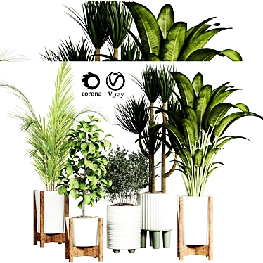 Indoor Plant Collection 3D model image 1 