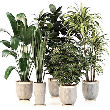 Green Oasis: 5 Indoor Plant Set 3D model image 1 