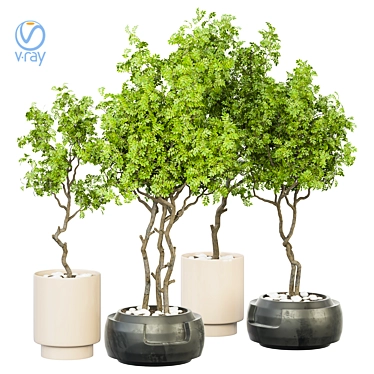 Versatile Indoor Plant Vol. 32 3D model image 1 