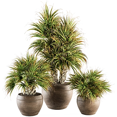 Tropical Bush in Vintage Pot - Indoor Plant Set 3D model image 1 