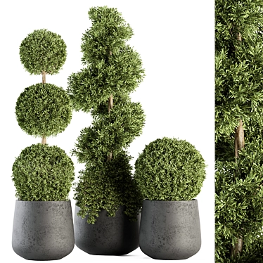Outdoor Greenery Set: Topiary Plant & Bush 3D model image 1 