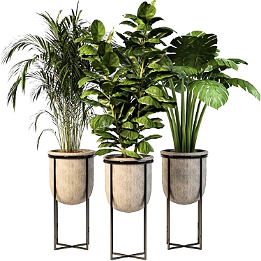 Lush Indoor Plant Trio 3D model image 1 