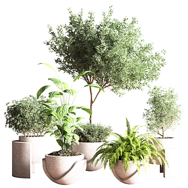 Indoor Oasis Plant Set 3D model image 1 