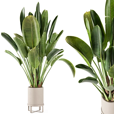 Ferm Living Bau Pot Large Set - Modern Indoor Plants 3D model image 1 