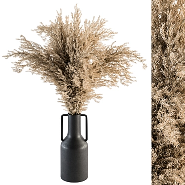 Elegant Pampas Grass Set 3D model image 1 