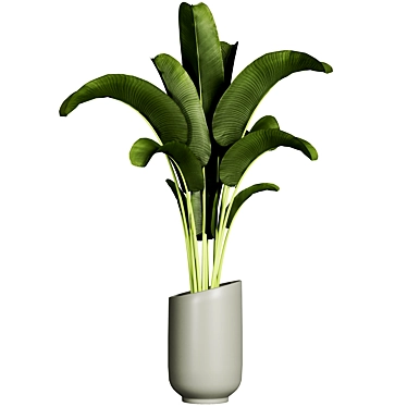 Plant 11: Elegant 2015 Version 3D model image 1 