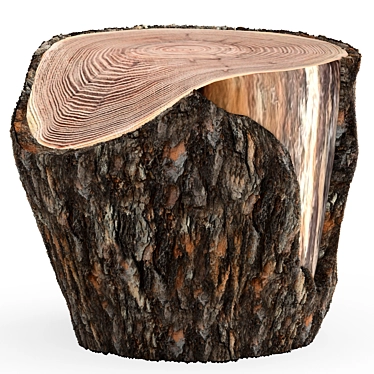 Rustic Pine Stump Cut 3D model image 1 