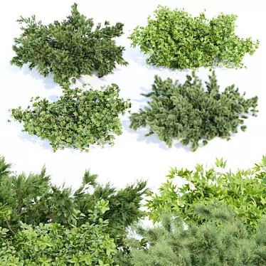 Nature's Oasis: Outdoor Bush Collection 3D model image 1 