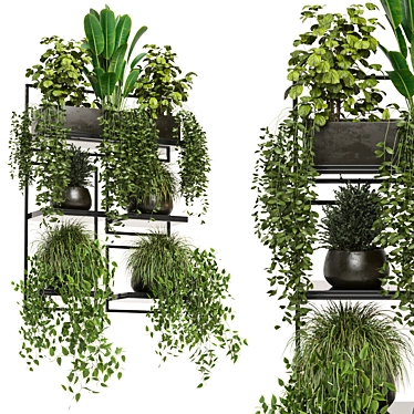 Rustic Indoor Plants | Set 207 3D model image 1 