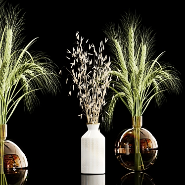 Elegant Dry Plant Set: V-Ray/Corona 3D model image 1 