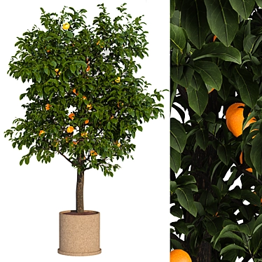 Fresh Citrus Lemon Tree 3D model image 1 
