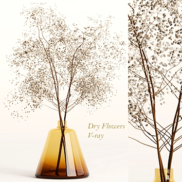 Elegant Dry Flowers Arrangement 3D model image 1 