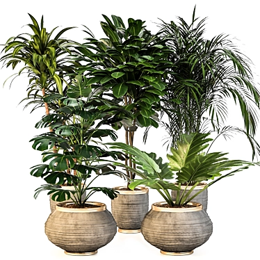 Green Oasis: Indoor Plant Set 3D model image 1 