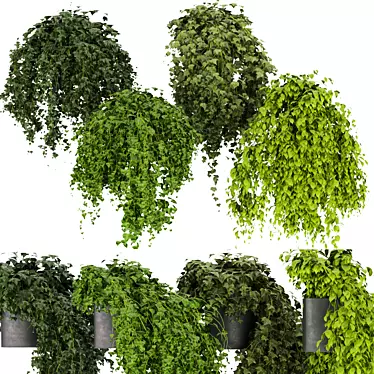 Luxury Indoor Hanging Plant Collection 3D model image 1 