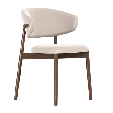 Modern Oleandro Dining Chair 3D model image 1 