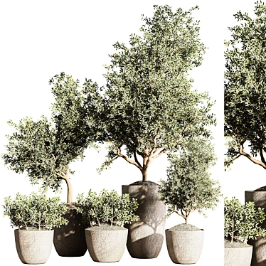 Versatile Indoor Plant Station 3D model image 1 