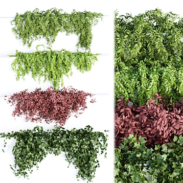 Botanical Bliss: Hanging Wall Plants 3D model image 1 