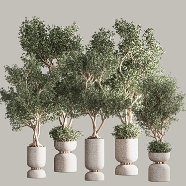 31-Piece Indoor Plant Set - Vray Render 3D model image 1 