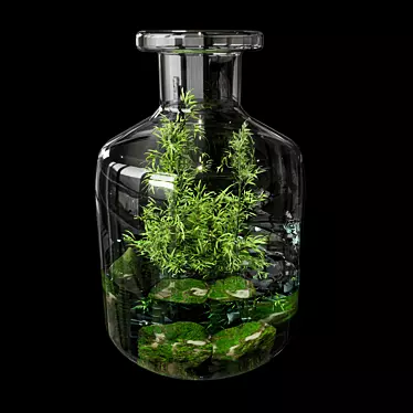 Natural Greenery Terrarium Set 3D model image 1 