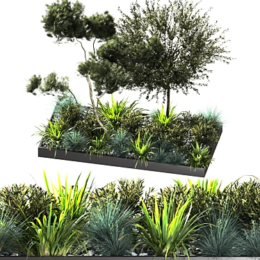 Outdoor Plant 09: VRAY Version 3D model image 1 