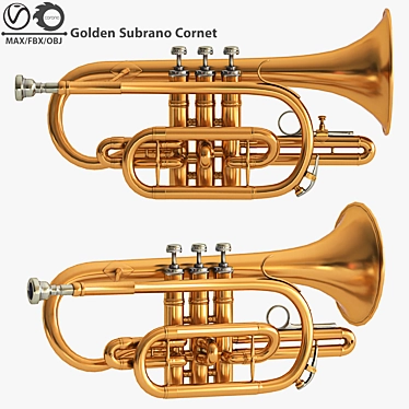 Gilded Subrano Brass Instrument 3D model image 1 