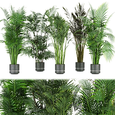 Indoor Palm Leaf - Collection Plant Vol 307 3D model image 1 