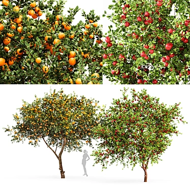 Fruit Tree Assets: Orange & Apple 3D model image 1 