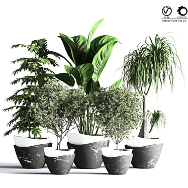 Indoor Plant Set: Green Oasis 3D model image 1 