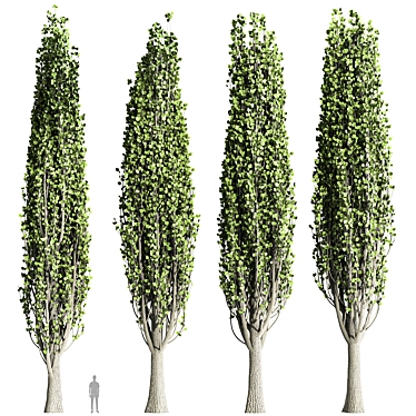 Nature's Embrace: Tree Collection 3D model image 1 