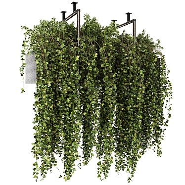 Elegant Hanging Greenery in Metal Box 3D model image 1 