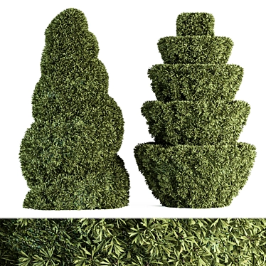 Elegant Topiary Bush Set 3D model image 1 