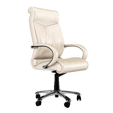 Executive Ergonomic Chair 3D model image 1 